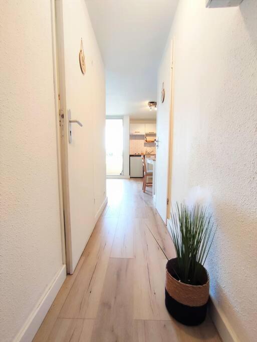 L'Escapade : Charmant T2 -Parking Gratuit, Piscine, Wifi, Clim Gruissan Exterior photo